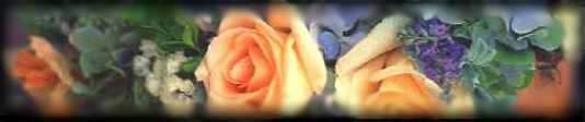 pretty.jpg (7751 bytes)