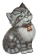 Greykitten.gif (6170 bytes)