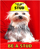 dogs.gif (34767 bytes)