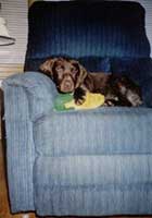Tobi in Recliner