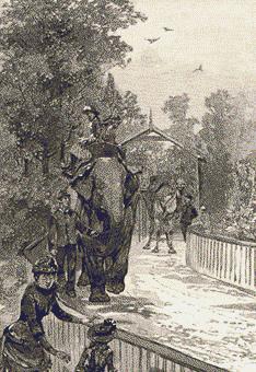 241 The Zoological Gardens
