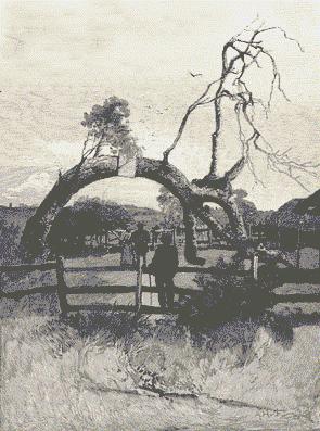 415 Proclamation Tree