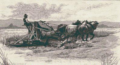427 Hay Harvesting