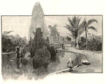 379 Acclimatisation Society's Gardens