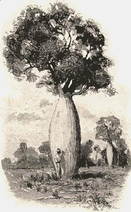 391 Bottle Tree