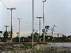Palmas
