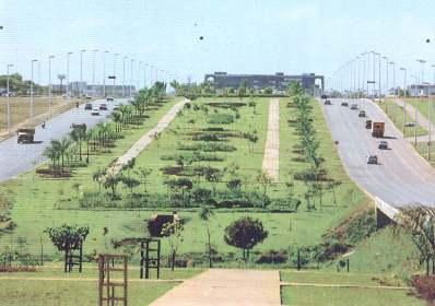 Palmas 