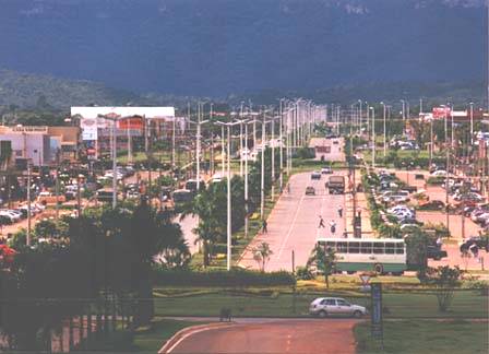 Palmas 