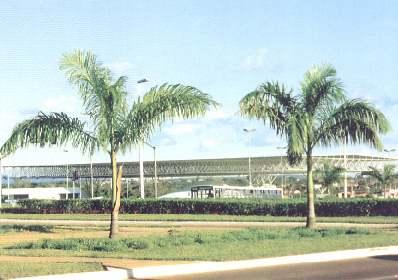 Palmas 