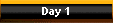 Day 1