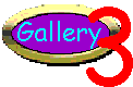 Link to Storm Gallery Three