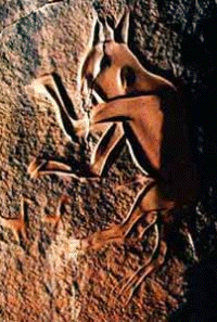 Gatos de piedra de frica
