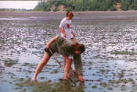 Butter clamming in the Willapa Bay tideflats