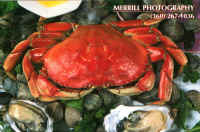 Fresh seafood abounds!