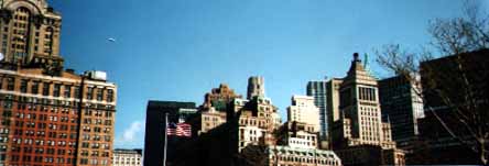 ܂킭New York Report