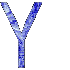 Y
