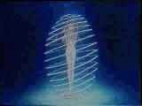 Belldandy still transforming