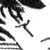 group_26.gif
