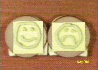 Baloney Sandwich!