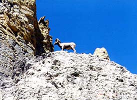 �r�b�O�z�[���V�[�v�B�u���݂����ɓ������݂������B�u������Ȃ���