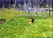 �G���N�ł��B���������\���܂��ˁB