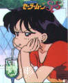 tsailormoon_rei8.gif (10631 bytes)