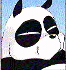 the panda