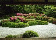 Diachiji in Spring