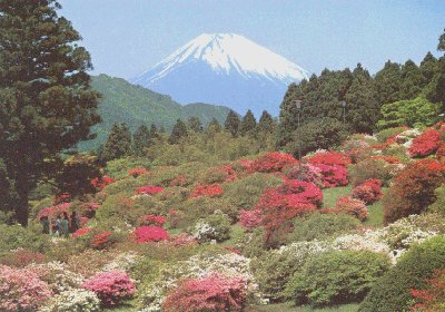 A Snow Covered Mount Fuji