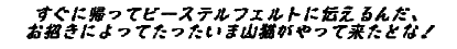 Ȃ͂Ȃ