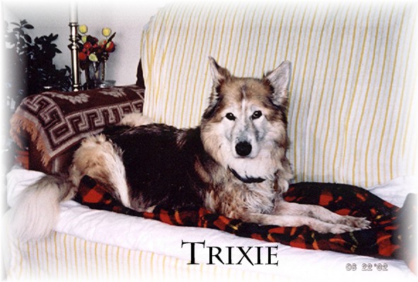 Trixie