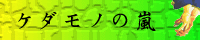 Sarah's DǭǼUPI