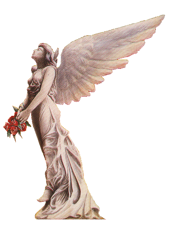 Angel of The Lust