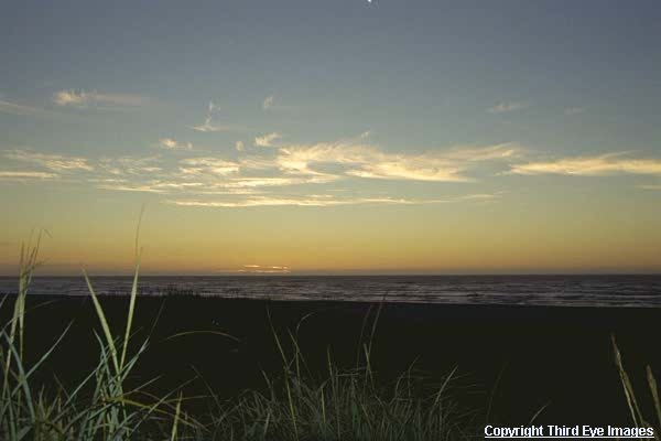 Beach24.jpg (21335 bytes)