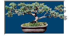 breezyjuniper.bmp (28438 bytes)