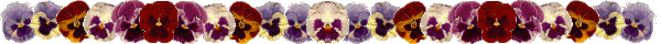 flow42rrYES.gif (11557 bytes)