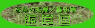 grass1.jpg (13290 bytes)