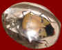 DSC01009.JPG (22591 bytes)
