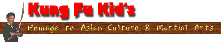 Kung Fu Kid's Homage to Asian Culture and Martial Arts