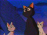 Tsuki no Neko