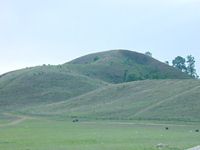 ҹ/grass hill