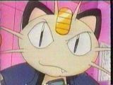 Meowth is annoyed