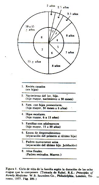Ciclo Vital de la Familia
