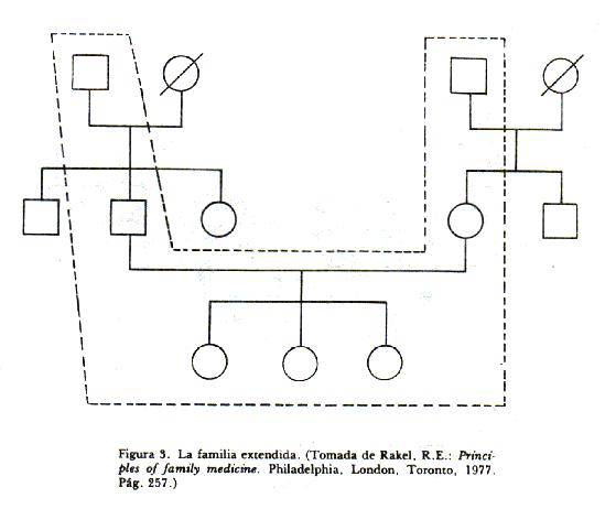 Familia extensa