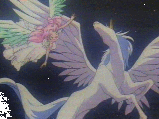 Winged beauties
