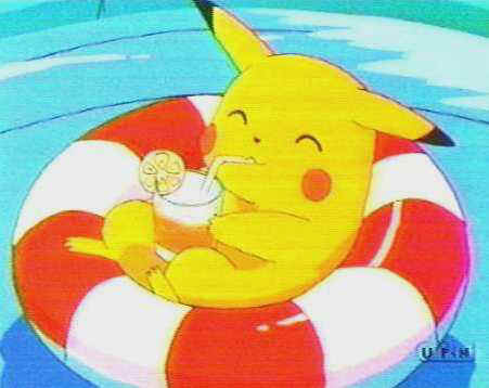 Pp9528~1.jpg (16032 bytes)