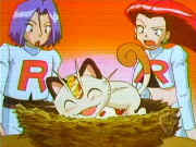 t08_small.jpeg (6050 bytes)