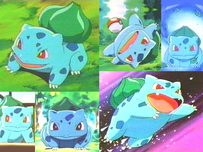 wallpaper4.jpeg (57067 bytes)