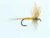 BWO.jpg (64048 bytes)