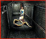 /user/image04.gif